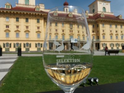 Podróż z winem do Austrii